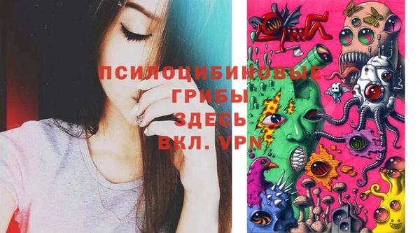 мефедрон Каменногорск